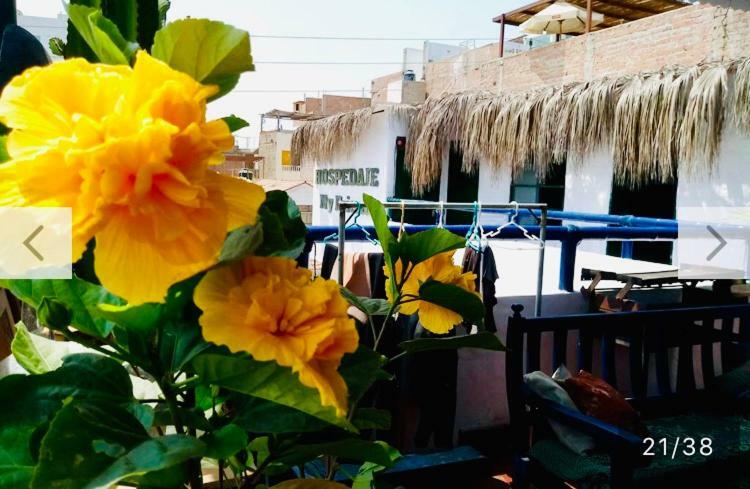 Surf Hostel My Friends Huanchaco Buitenkant foto